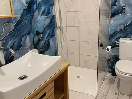 belle appartement rénové 45 m2