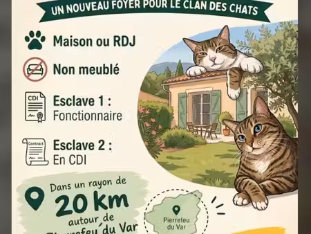 maison ou rdj