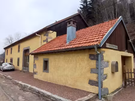 maison de campagne de luxe en vente gérardmer  france