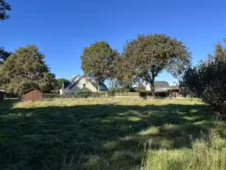 vente terrain à saint-molf (44350) : à vendre / 937m² saint-molf