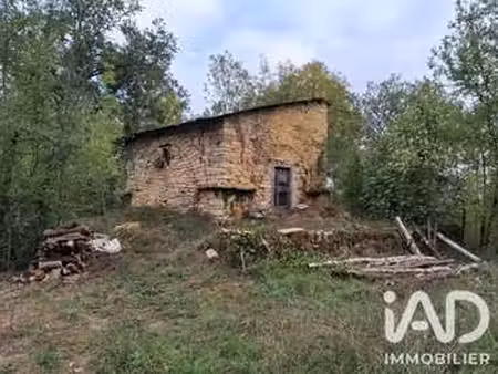 vente terrain à caylus (82160) : à vendre / 3418m² caylus