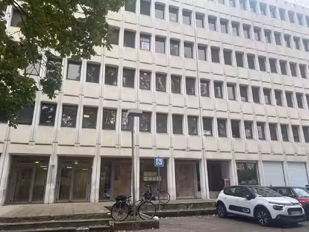 location local professionnel 1 355m²