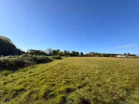 terrain à bâtir à loupes (33370)