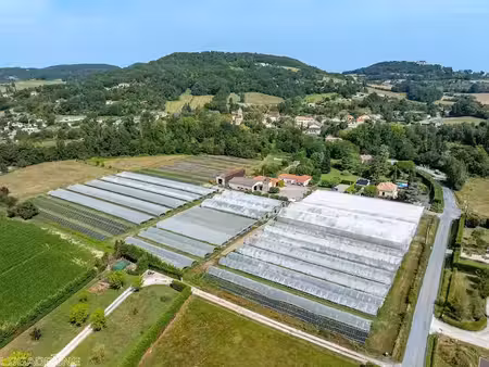 vente locaux professionnels 550 m² à dausse (47140)  650 000 €