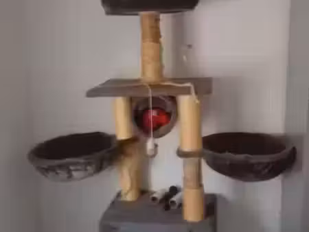 appartement de 20m2 à louer sur lens