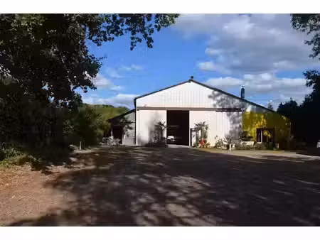 vente maison 3 pièces 80.5 m² à château-chinon-ville (58120)  178 500 €