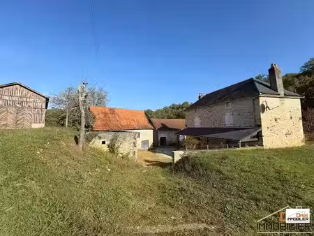 vente maison 6 pièces 135 m² à saint-julien-de-lampon (24370)  299 000 €