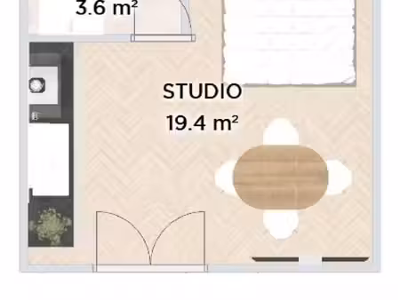 studio 1 pièce 20 m²