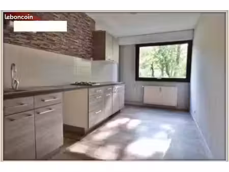 appartement 43m2 f1bis