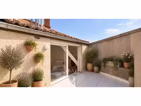 appartement avec terrasse toulouse (31)