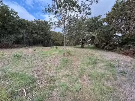 vente terrain 1077 m² à vensac (33590)  59 000 €