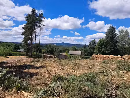 vente terrain 1800 m² à le chambon-sur-lignon (43400)  53 000 €