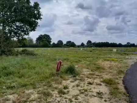 vente terrain 554 m² à villeneuve-en-retz (44580)  65 000 €
