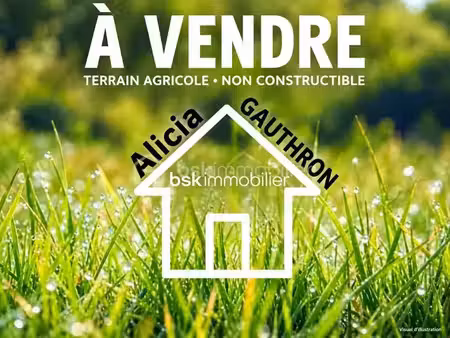 vente terrain 6000 m² à villy-le-moutier (21250)  66 000 €