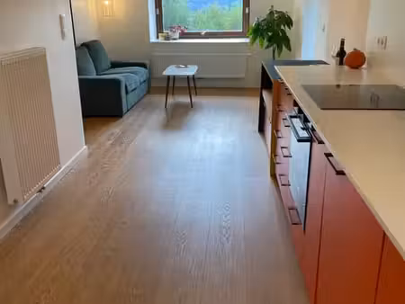 petite maison avec jardin dans rue calme