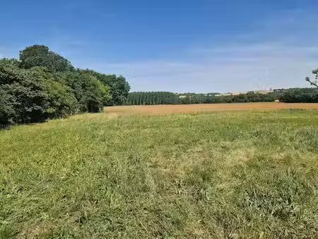 vente terrain 1364 m² à fontenilles (31470)  144 500 €