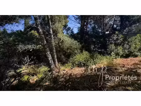 vente terrain à batir 390 m² à carqueiranne (83320)  265 000 €