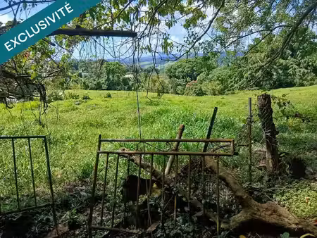 vente terrain à batir 20529 m² à la trinite (97220)  350 000 €