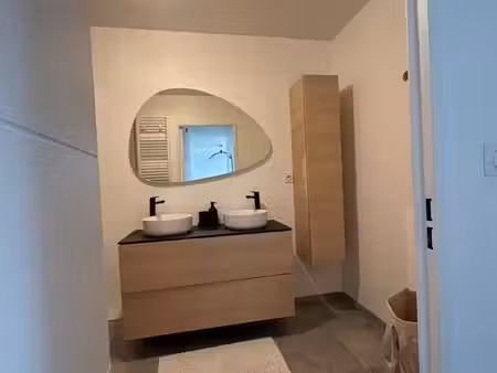 appartement t3 lumineux avec terrasse à lyon vaise