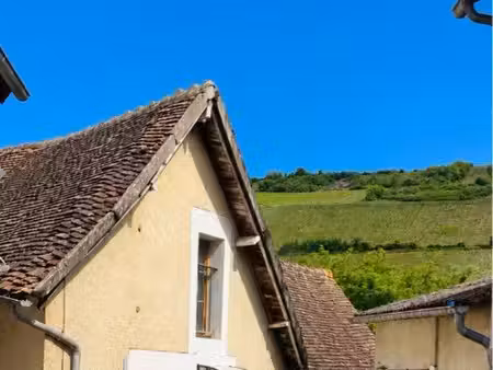 charmante maison entièrement rénovée au cœur de chavignol