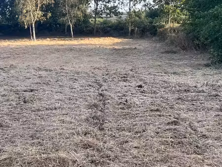 terrain pour maraîcher