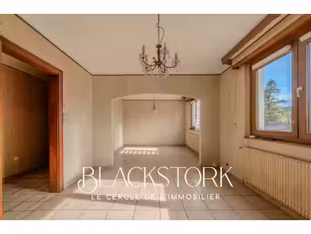 maison biesheim 5 pièce(s) 137 m2