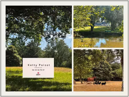 domaine de charme nort sur erdre 12 pièces 200m2 et gite 128m2