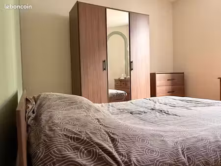 location f2 meublé 54m² - nancy centre (refait à neuf)