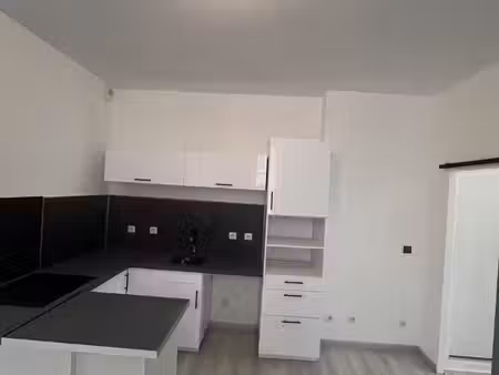 appartement t3 rénové centre ville de pau