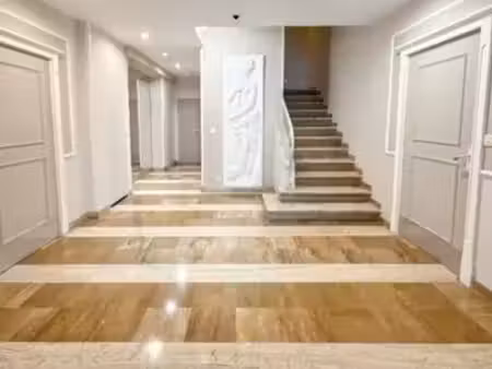 apartment nice vendu en viager libre
