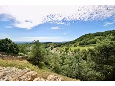 vente coup de coeur - beaujolais - 30 mn de lyon vaise - maison en pierres dorées climatis