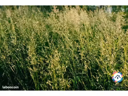 terrain 72110 m² artigues