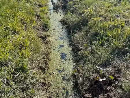 terrain agricole
