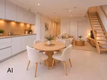 superbe duplex lumineux
