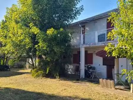 location appartement t1 meublé à la teste-de-buch (33115) : à louer t1 meublé / 17m² la te