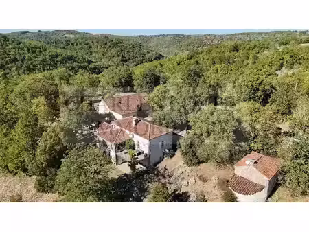 vente maison 14 pièces 390.63 m² à puy-l'evêque (46700)  819 000 €