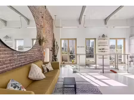 superbe loft en duplex + grande terrasse
