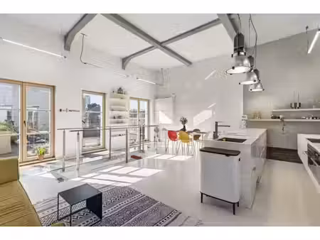 superbe loft en duplex + grande terrasse