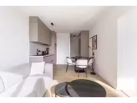appartement lumineux et rénové a vendre à nieuport!