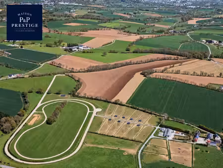 haras sur environ 20 5 hectares – 21 boxes  piste de 900 mètres et maison en pierre