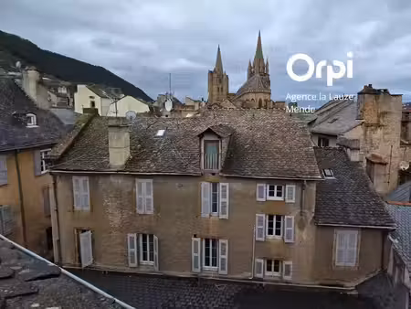 vente immeuble 12 pièces 198 m² à mende (48000)  250 000 €