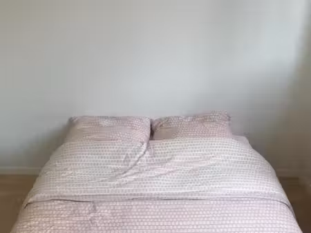 chambre 1 pièce 20 m²