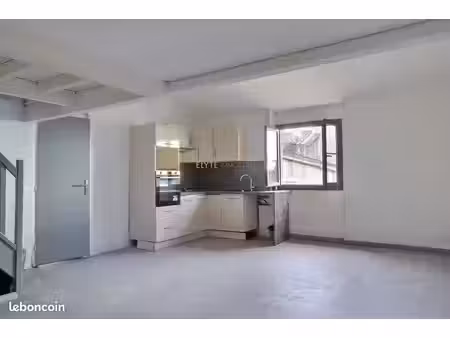 appartement 1 pièce 50 m²