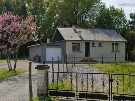 location maison riaillé