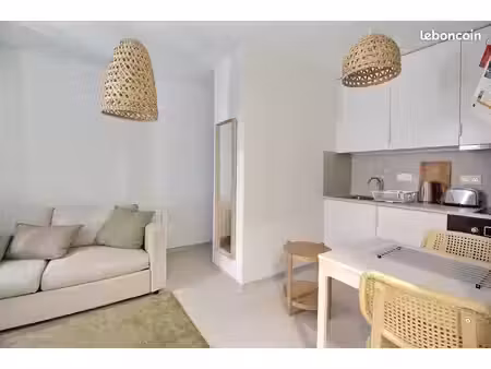 appartement 1 pièce 20 m²