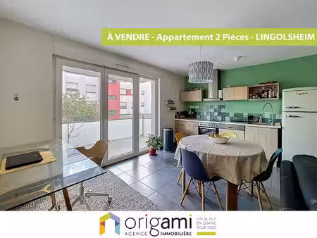 appartement lingolsheim 2 pièces
