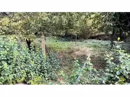 maison au calme à cesson-sévigné  environnement verdoyant