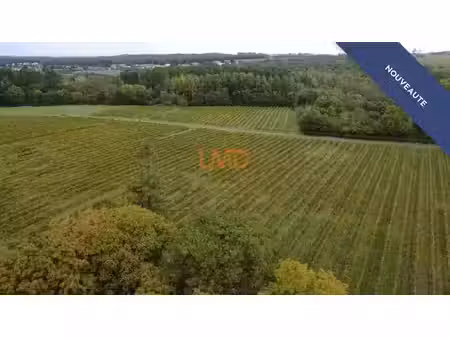 vente terrain 495200 m² à cognac (16100)  7 743 300 €