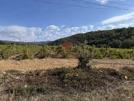 a vendre terrain constructible commune du bosc
