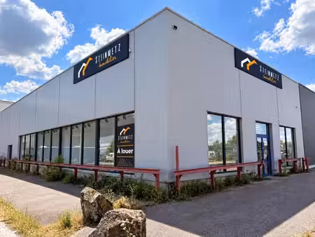 location commerce sarreguemines 57200 400m²
